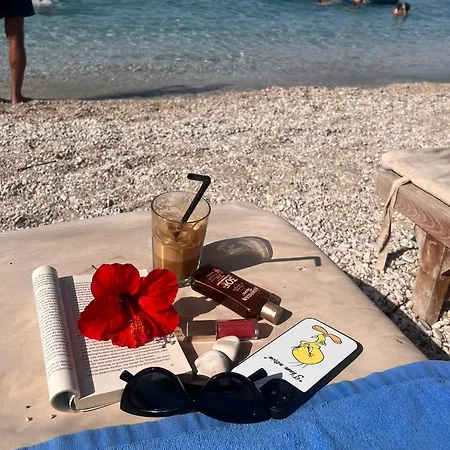 Rei Apartamento Borsh