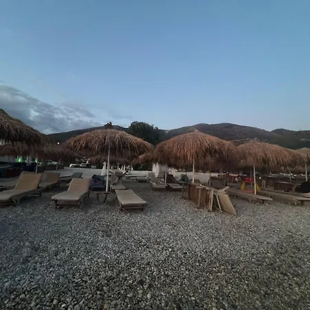 Rei Apartamento Borsh