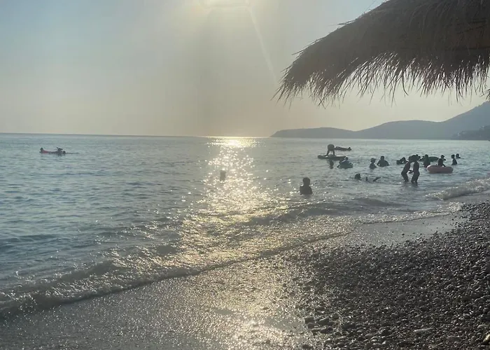 Rei Apartamento Borsh