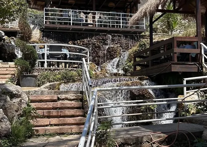 Rei Apartamento Borsh