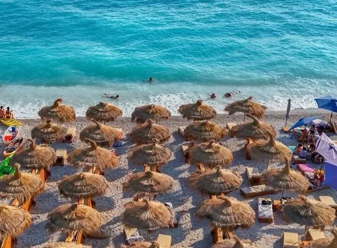 Rei Apartamento Borsh